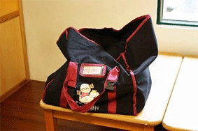 絵本宅配用のバッグ（2009年9月）